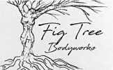 Fig Tree BodyWorks- Kingston, NY