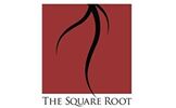 The Square Root